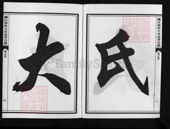 浙江省张氏族谱-兰江张氏大阜高丼宗谱 [4卷,首1卷].pdf电子版预览图4