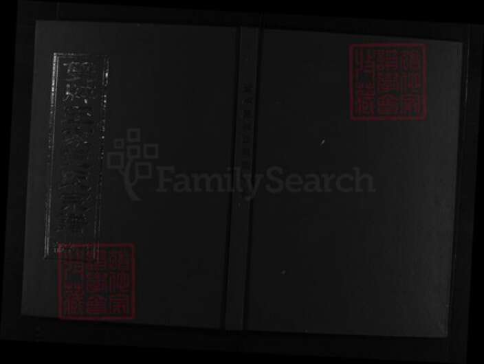 浙江省王氏族谱-双牌王氏王家分宗谱 [3卷].pdf电子版缩略图