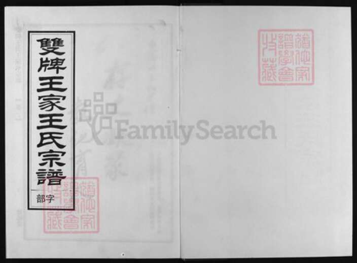 浙江省王氏族谱-双牌王氏王家分宗谱 [3卷].pdf电子版预览图1