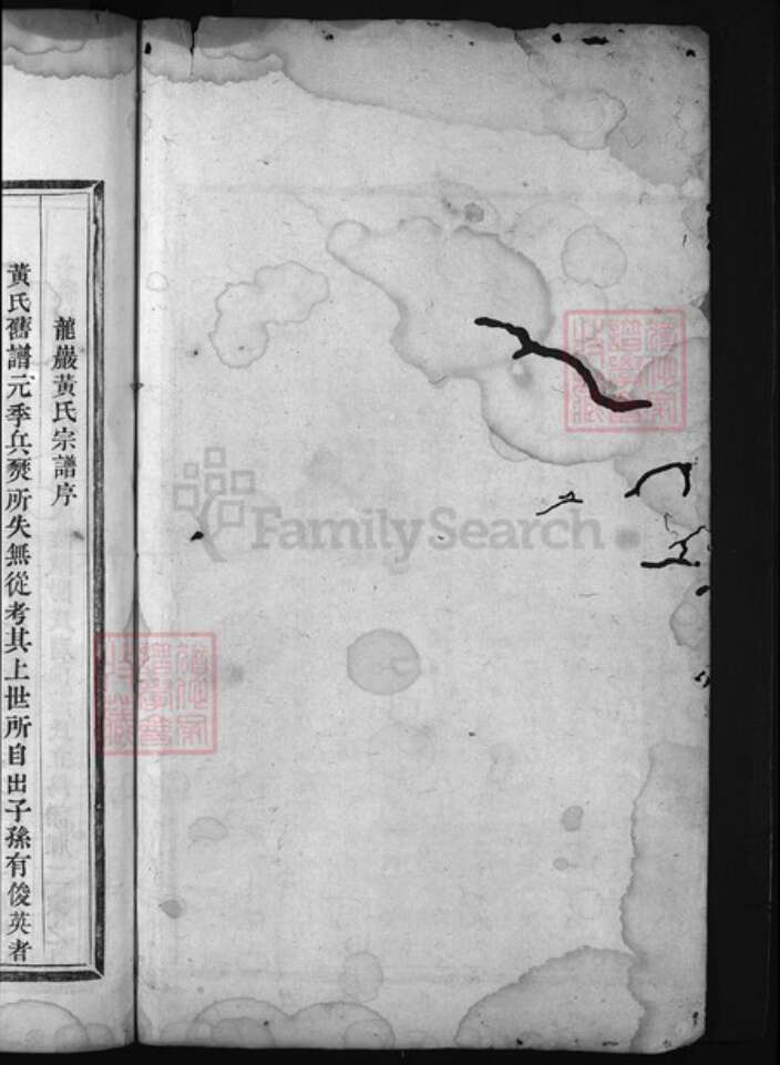 浙江省丽水市黄氏族谱-龙岩黄氏宗谱 [8卷].pdf电子版预览图1