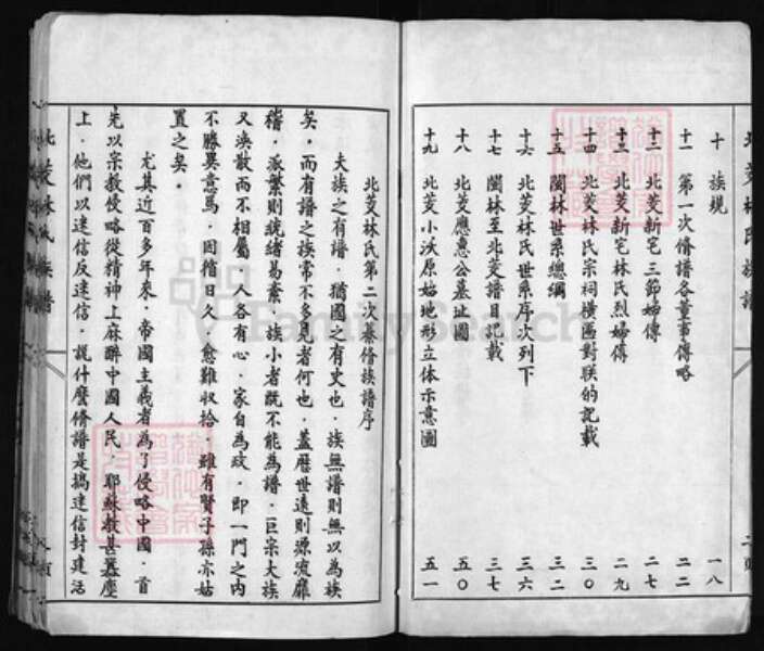 福建省福州市连江县林氏族谱-北茭林氏族谱 [不标卷数].pdf电子版预览图3