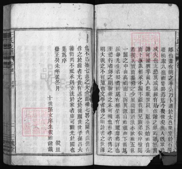 江苏省苏州市太仓市王氏族谱-王氏支谱 [14卷, 首2卷].pdf电子版预览图2