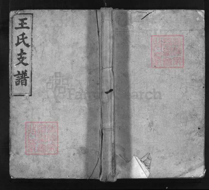 湖南省益阳市安化县王氏族谱-王氏续修族谱 [13卷,首3卷].pdf电子版缩略图