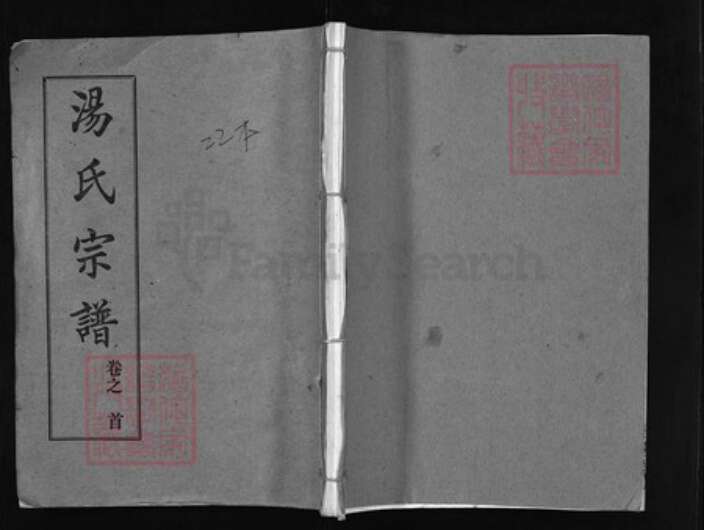 湖北省黄冈市红安县汤氏族谱-汤氏宗谱 [20卷, 首2卷].pdf电子版缩略图