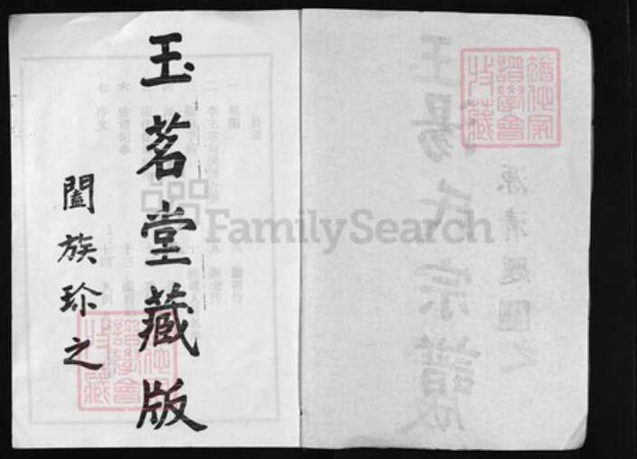 湖北省黄冈市红安县汤氏族谱-汤氏宗谱 [20卷, 首2卷].pdf电子版预览图1