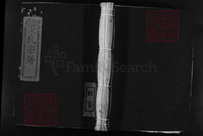 浙江省温州市乐清市黄氏族谱-黄氏宗谱[不分卷].pdf电子版缩略图