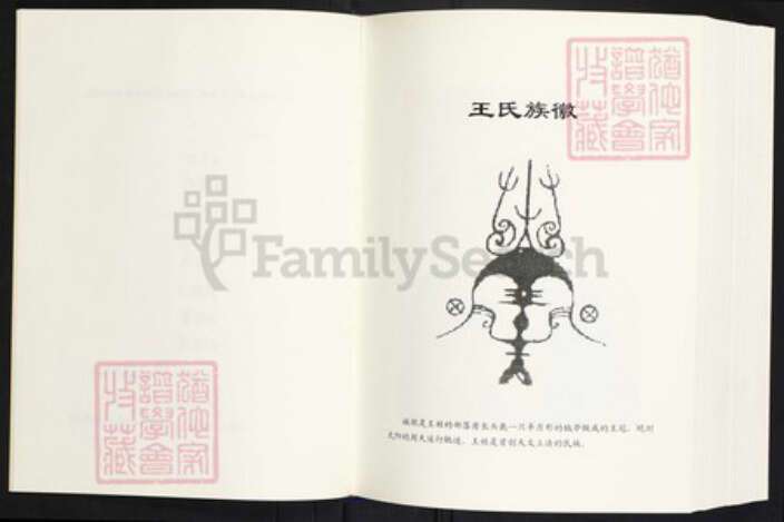 云南省曲靖市师宗县丹凤街道王氏族谱-王启高族谱.pdf电子版预览图1