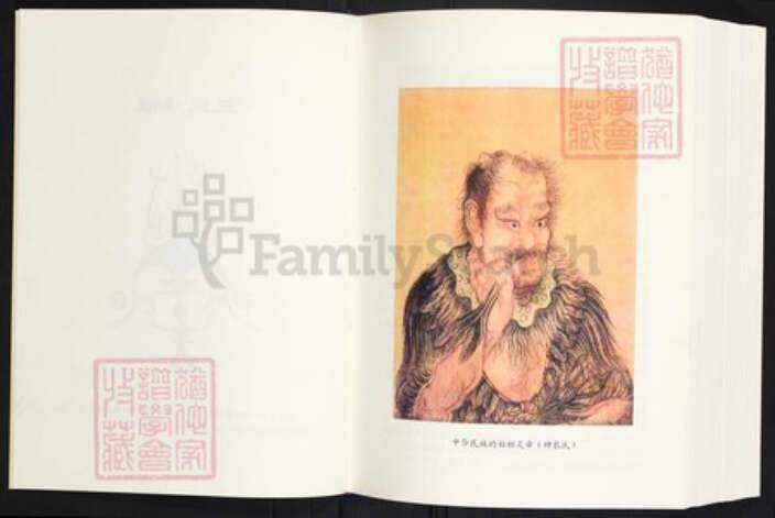 云南省曲靖市师宗县丹凤街道王氏族谱-王启高族谱.pdf电子版预览图2