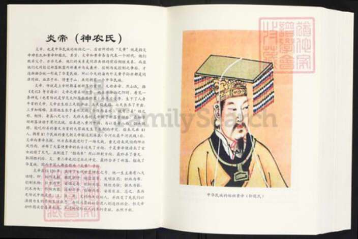 云南省曲靖市师宗县丹凤街道王氏族谱-王启高族谱.pdf电子版预览图3