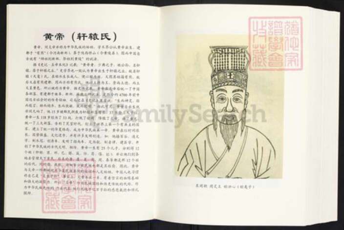 云南省曲靖市师宗县丹凤街道王氏族谱-王启高族谱.pdf电子版预览图4