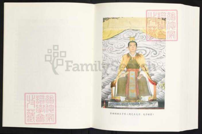 云南省曲靖市师宗县丹凤街道王氏族谱-王启高族谱.pdf电子版预览图5