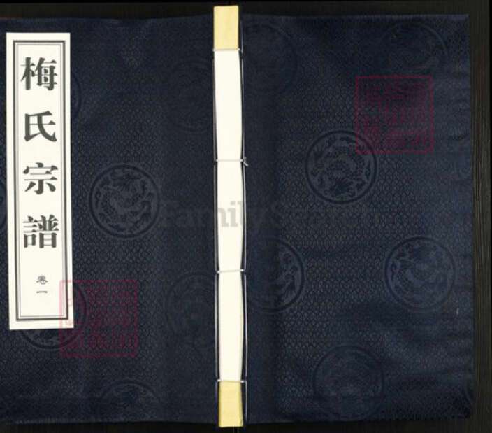 江苏省无锡市江阴市梅氏映雪堂族谱-梅氏宗谱.pdf电子版缩略图