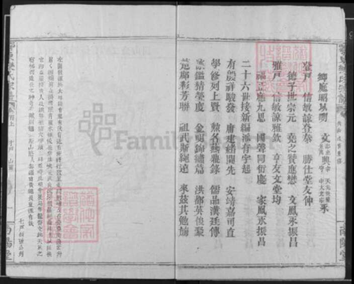 湖北省黄石市阳新县乐氏南阳堂族谱-鄂东乐氏宗谱.pdf电子版预览图3