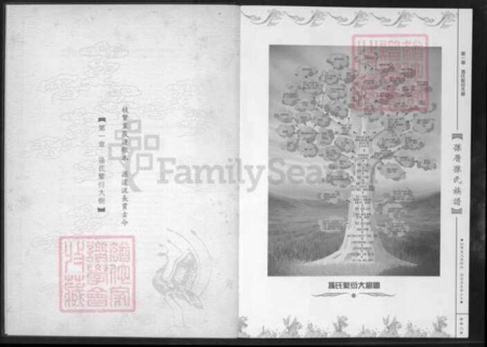 福建省厦门市孙氏族谱-乐安堂孙厝孙氏族谱.pdf电子版预览图4