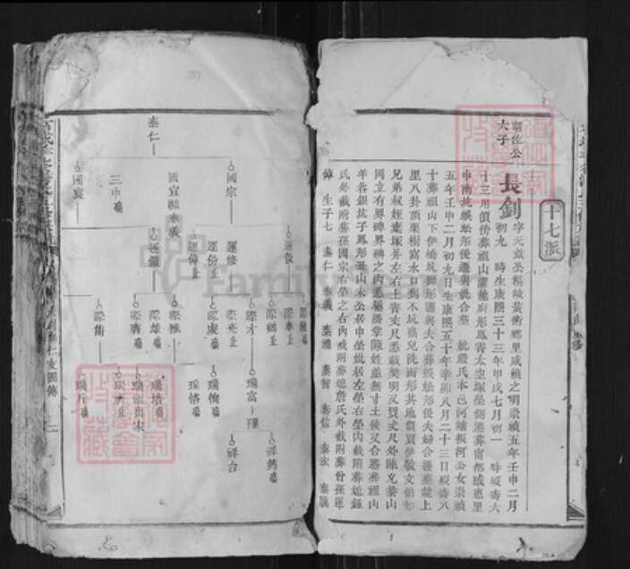 江西省赣州市石城县潘氏族谱-石城羊谷潘氏五修族谱.pdf电子版预览图1