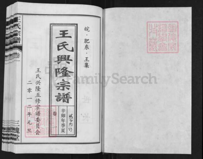 安徽省合肥市长丰县水湖镇王氏三槐堂族谱-王氏兴隆宗谱.pdf电子版预览图1