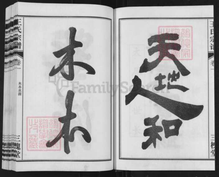 安徽省合肥市长丰县水湖镇王氏三槐堂族谱-王氏兴隆宗谱.pdf电子版预览图3