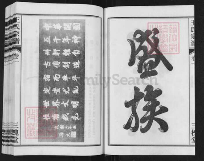 安徽省合肥市长丰县水湖镇王氏三槐堂族谱-王氏兴隆宗谱.pdf电子版预览图5