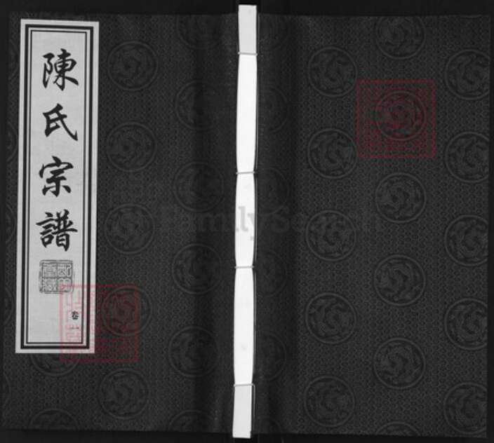 江苏省常州市陈氏配义堂族谱-陈氏宗谱.pdf电子版缩略图