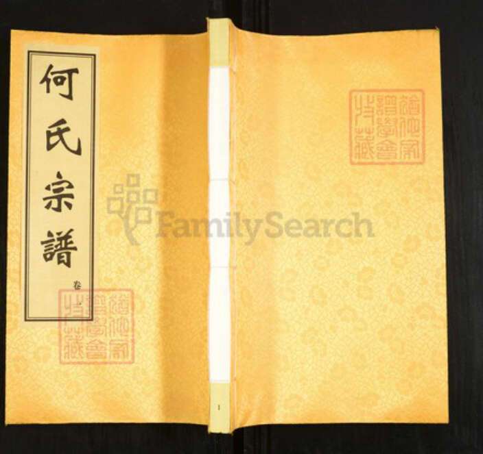 江苏省镇江市丹阳市陵口镇何氏三高堂族谱-何氏宗谱.pdf电子版缩略图
