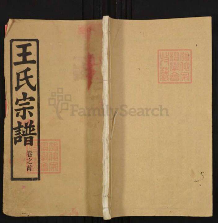 湖北省鄂州市华容区王氏槐荫堂族谱-王氏宗谱.pdf电子版缩略图