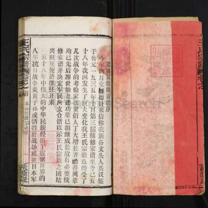 湖北省鄂州市华容区王氏槐荫堂族谱-王氏宗谱.pdf电子版预览图2