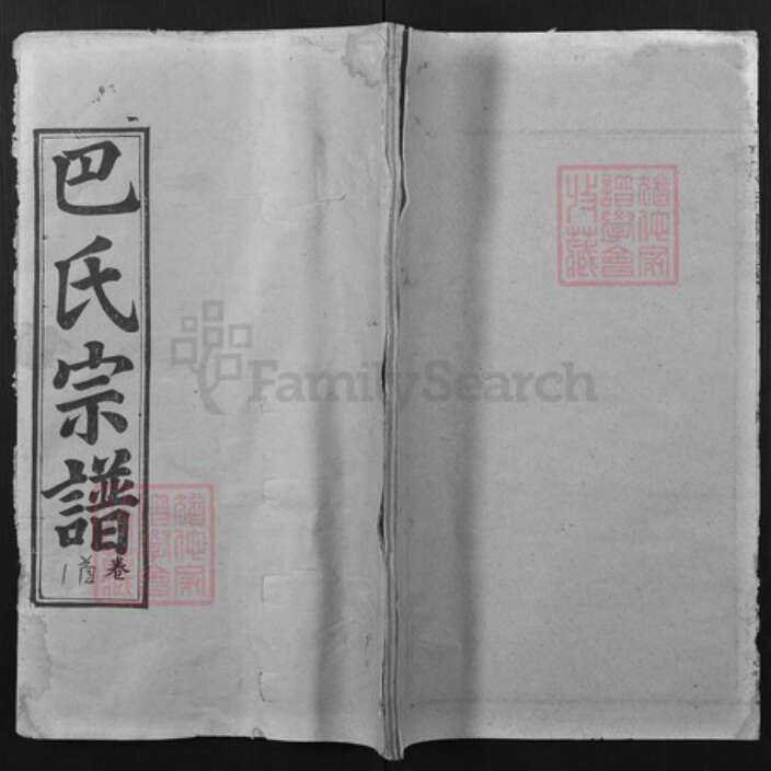 湖北省武汉市新洲区巴氏仁俭堂族谱-巴氏宗谱.pdf电子版