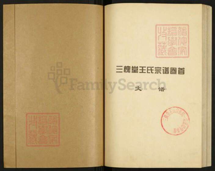 湖北省孝感市孝昌县邹岗镇王氏三槐堂族谱-澴川王氏族谱.pdf电子版预览图1