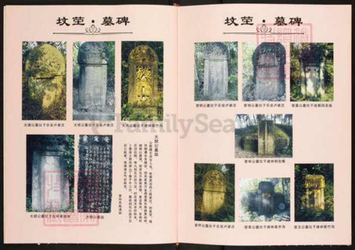 四川省绵阳市三台县四川省绵阳市三台县胡氏敦实堂族谱-胡氏族谱.pdf电子版预览图4