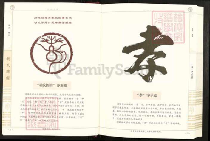 四川省巴中市南江县兴马镇四川省巴中市南江县胡氏安定堂族谱-胡氏族谱.pdf电子版预览图5