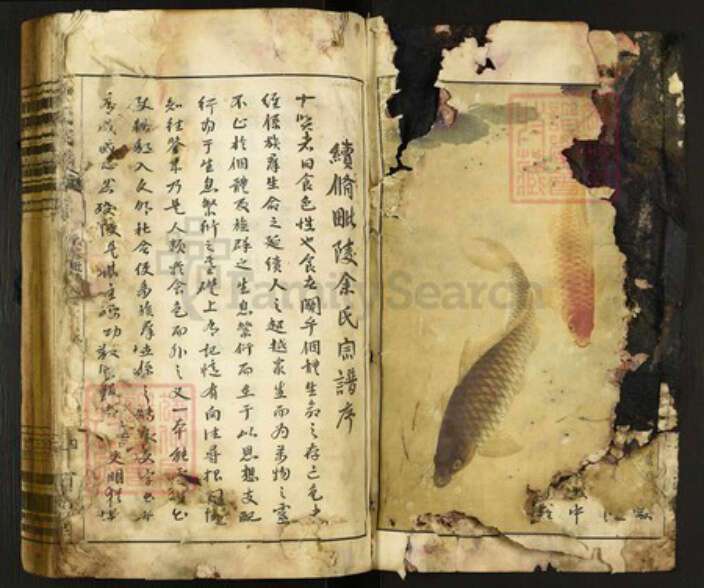 江苏省常州市天宁区余氏泗水堂族谱-毘陵余氏宗谱.pdf电子版预览图1