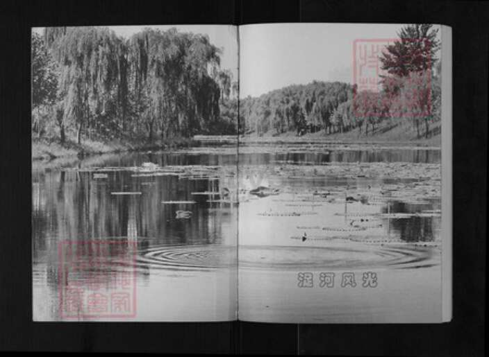 山东省潍坊市寒亭区于氏族谱-寒浞河畔于氏家族.pdf电子版预览图1