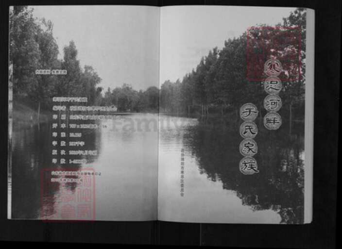 山东省潍坊市寒亭区于氏族谱-寒浞河畔于氏家族.pdf电子版预览图2