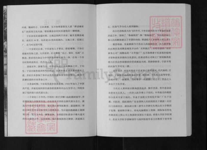 山东省潍坊市寒亭区于氏族谱-寒浞河畔于氏家族.pdf电子版预览图5