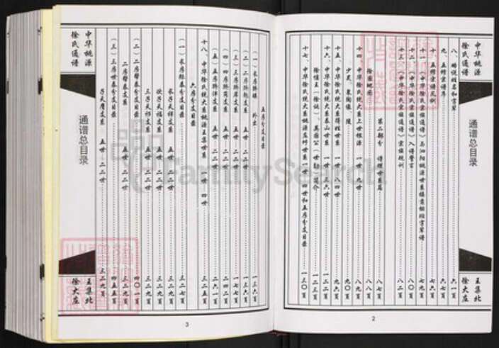 江苏省宿迁市泗阳县王集镇徐氏南洲堂族谱-中华桃源徐氏通谱.pdf电子版预览图2