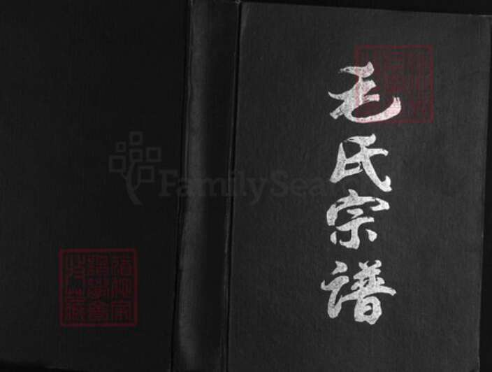 江苏省盐城市阜宁县新沟镇毛氏(讠主)诗堂族谱-毛氏宗谱.pdf电子版缩略图