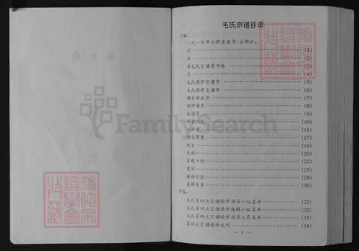 江苏省盐城市阜宁县新沟镇毛氏(讠主)诗堂族谱-毛氏宗谱.pdf电子版预览图3