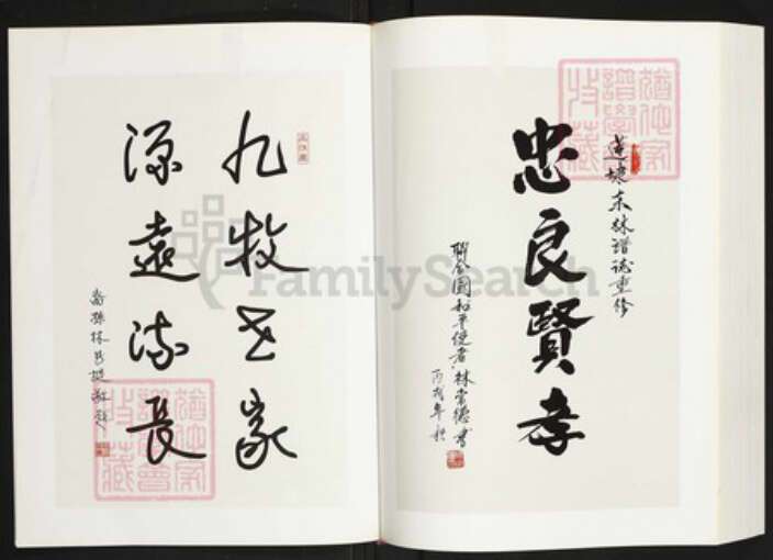 福建省福州市福州市辖区林氏族谱-连江东林谱志.pdf电子版预览图3