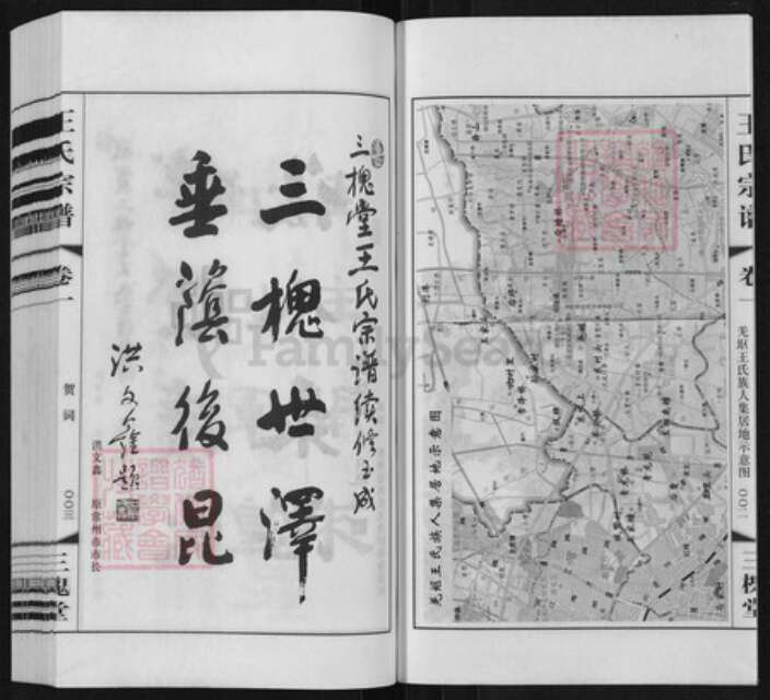 江苏省常州市天宁区郑陆镇王氏三槐堂族谱-王氏宗谱.pdf电子版预览图3