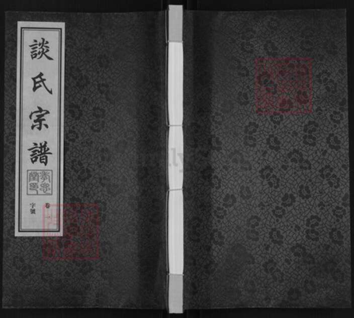 江苏省常州市武进县洛阳镇谈氏孝思堂族谱-谈氏宗谱.pdf电子版缩略图