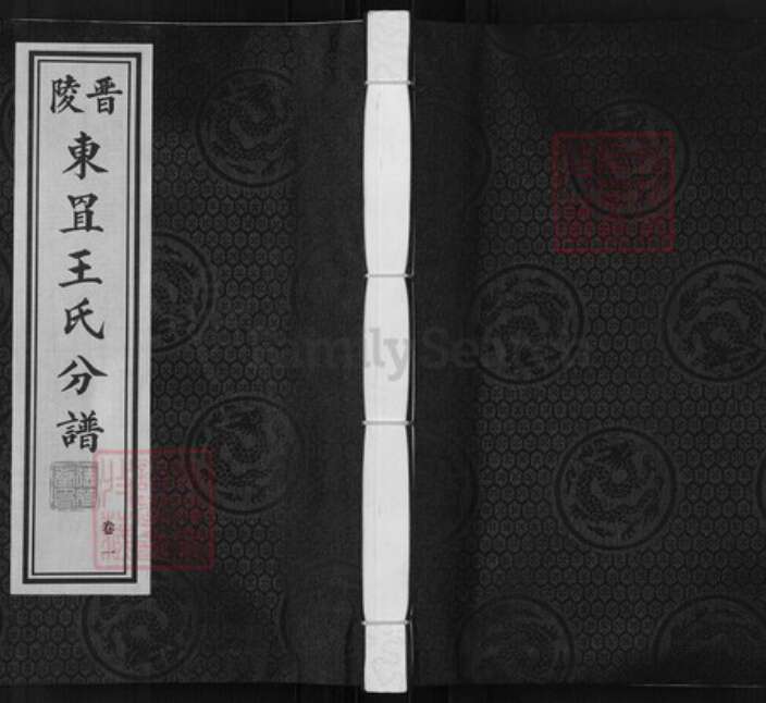 江苏省常州市王氏德符堂族谱-晋陵东罝王氏分谱.pdf电子版缩略图