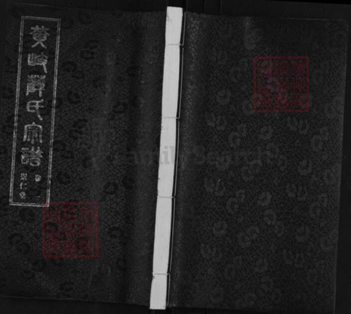 江苏省无锡市江阴市城东街道薛氏崇仁堂族谱-黄岐薛氏宗谱.pdf电子版缩略图