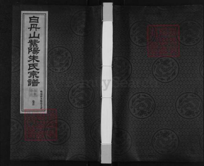 江苏省无锡市锡山区朱氏听彜堂族谱-白丹山紫阳朱氏宗谱. 鸭城桥朱阳巷支谱.pdf电子版缩略图