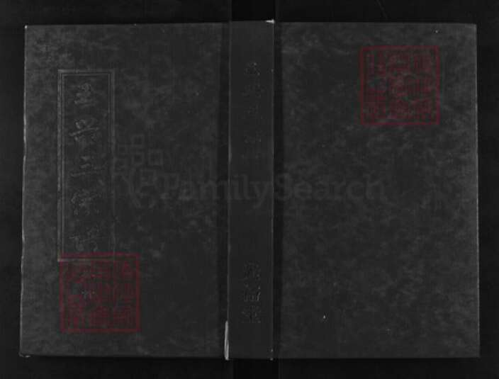 湖北省武汉市新洲区王氏光裕堂族谱-王兴三宗谱.pdf电子版缩略图