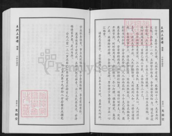 湖北省武汉市新洲区王氏光裕堂族谱-王兴三宗谱.pdf电子版预览图2