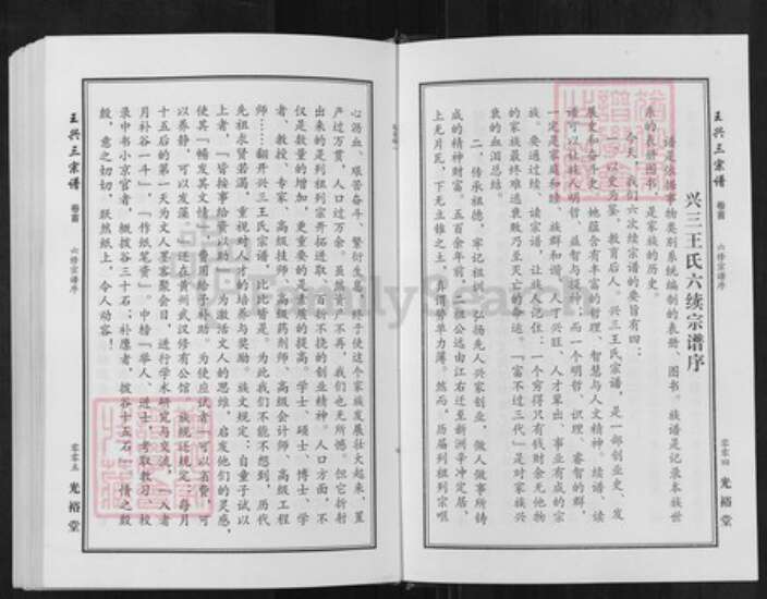 湖北省武汉市新洲区王氏光裕堂族谱-王兴三宗谱.pdf电子版预览图3