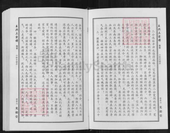 湖北省武汉市新洲区王氏光裕堂族谱-王兴三宗谱.pdf电子版预览图4