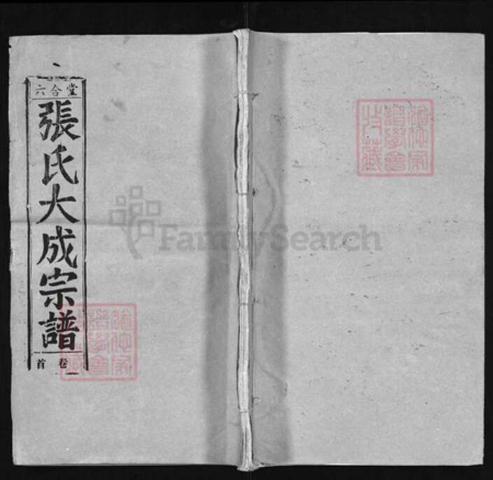 湖北省黄冈市张氏族谱-张氏大成宗谱 [23卷, 首3卷, 末1卷].pdf电子版缩略图