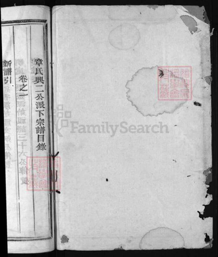 浙江省章；童氏族谱-洞源章氏宗谱 [3卷].pdf电子版预览图1