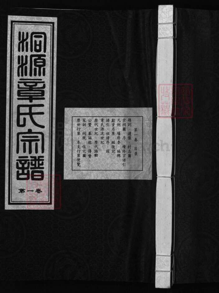 浙江省章；童氏族谱-洞源章氏宗谱 [6卷].pdf电子版缩略图